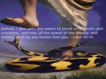 Luke 10-19
