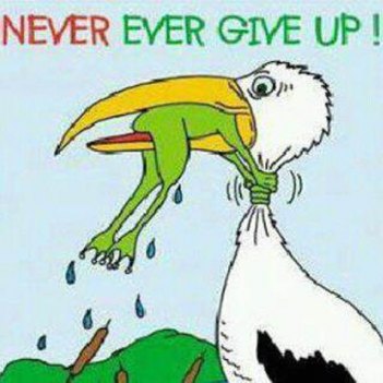 Never_Give_Up
