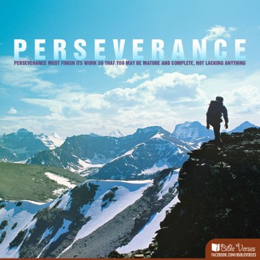perseverance2